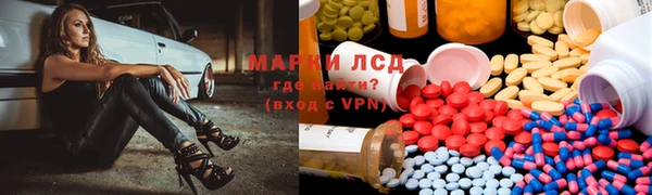 стаф Баксан