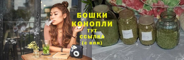 стаф Баксан