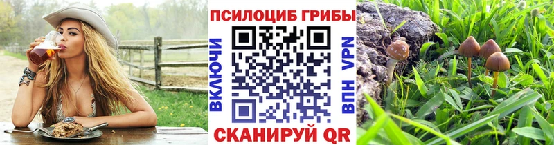 Псилоцибиновые грибы Cubensis МЕГА онион Пласт