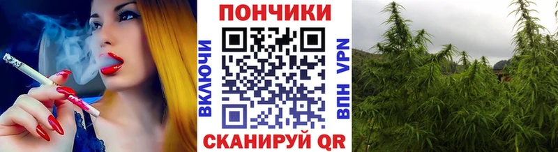 Конопля семена  купить наркотик  Пласт 